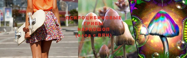 mix Козловка
